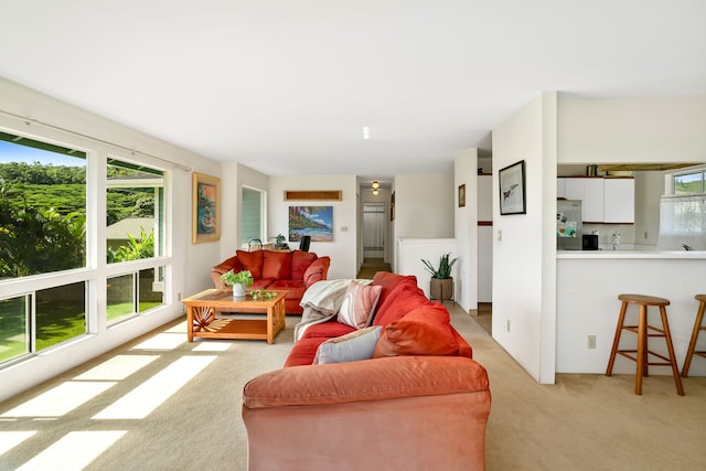 carpeted living room featuring a healthy amount of sunlight