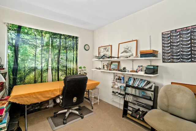 home office with carpet flooring