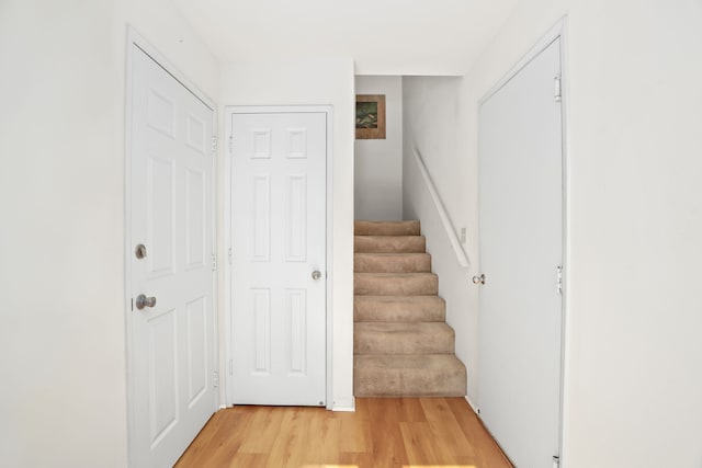 staircase with wood-type flooring