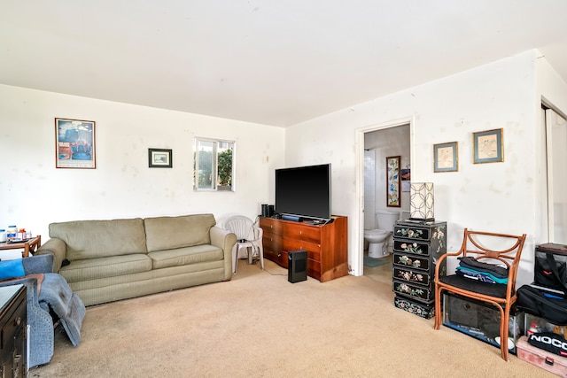 living room featuring light carpet