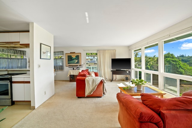 living room with light colored carpet