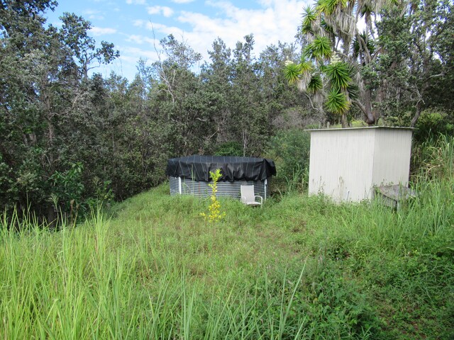 view of yard with a storage unit