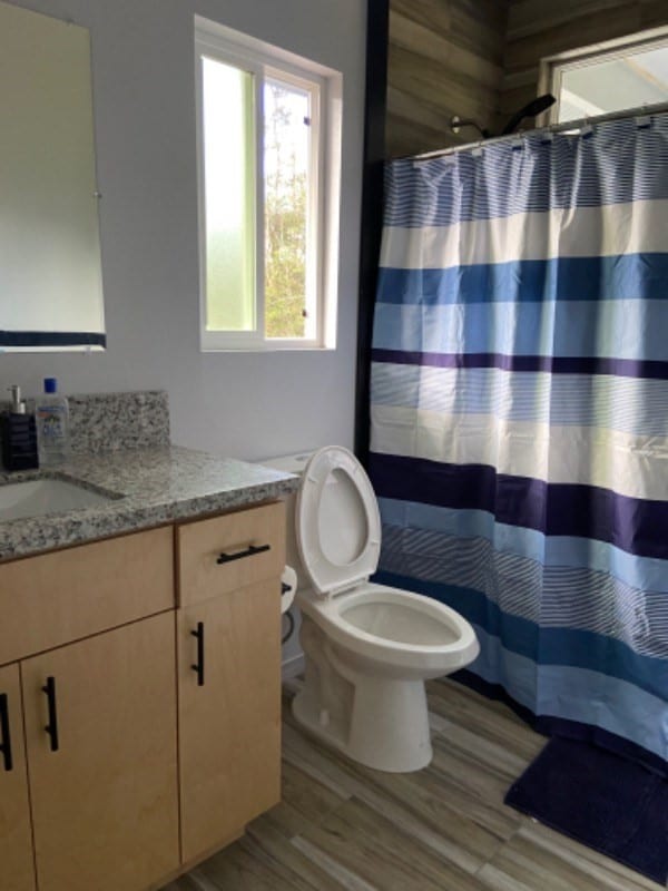 bathroom with vanity, toilet, wood-type flooring, and a shower with curtain