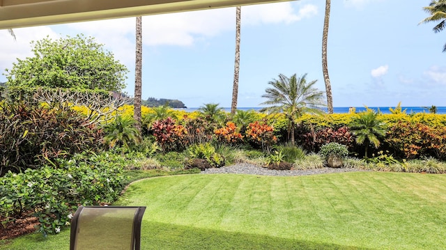 view of yard with a water view