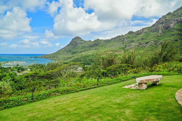 view of yard featuring a water and mountain view