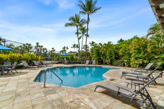 view of pool featuring a patio