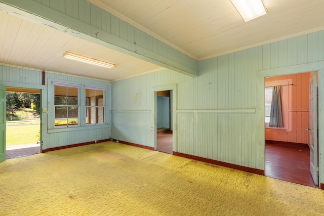 spare room featuring a wealth of natural light, baseboards, and ornamental molding