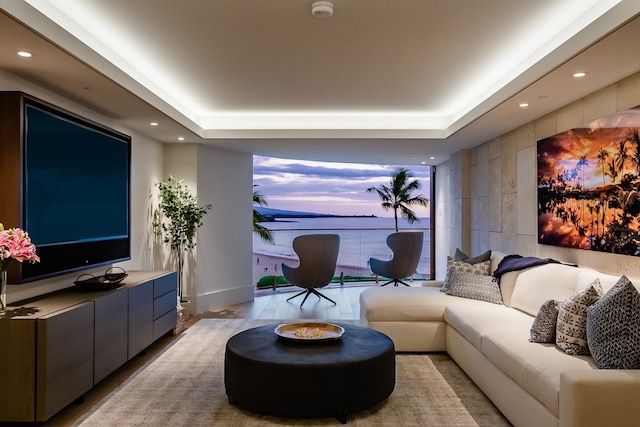 home theater room with light wood-type flooring and a tray ceiling