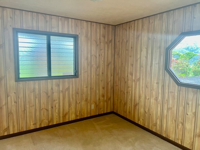 carpeted spare room with wooden walls