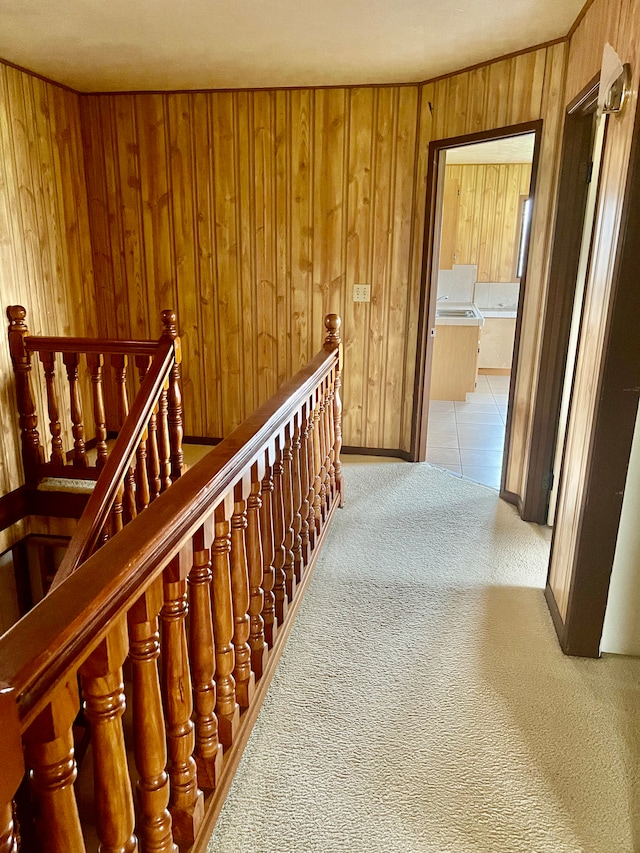 hall featuring wood walls and carpet