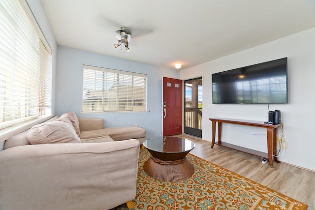 living room with light wood-type flooring and ceiling fan