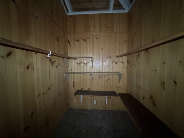 basement with wood walls