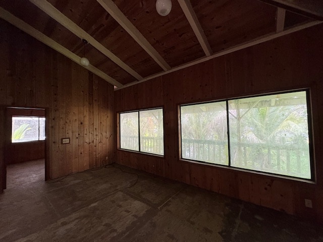 spare room with wood walls, lofted ceiling, and plenty of natural light