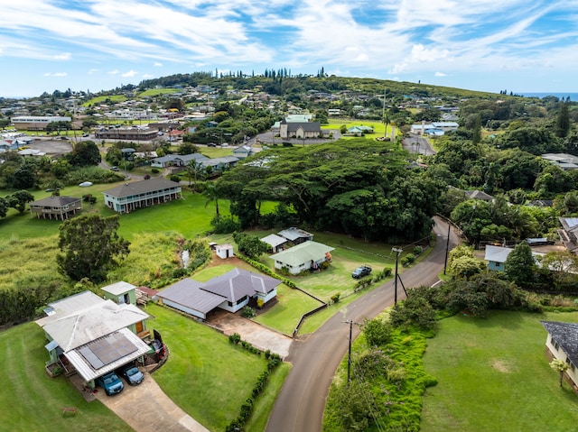 drone / aerial view