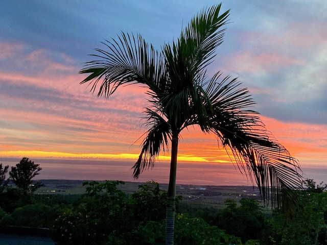 view of nature at dusk