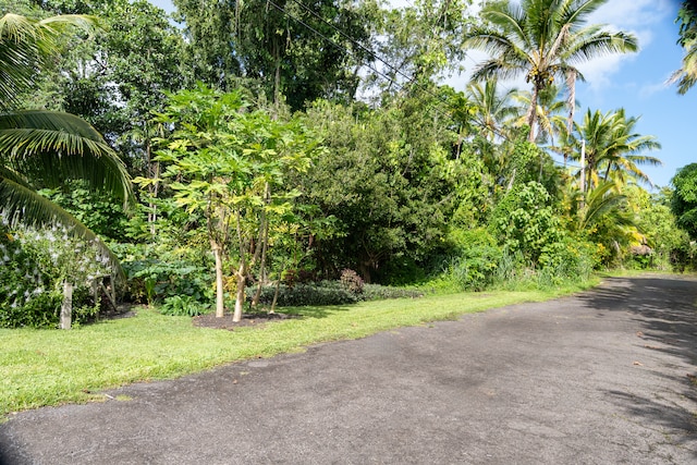 Listing photo 3 for 12-7008 Kaihulali St, Pahoa HI 96778