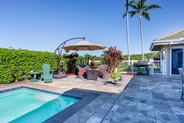 view of pool with a grill and a patio