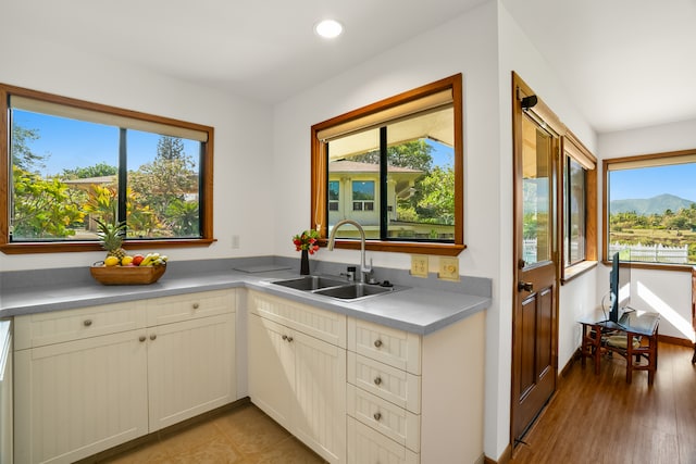 kitchen featuring a healthy amount of sunlight, sink, and light wood-type flooring