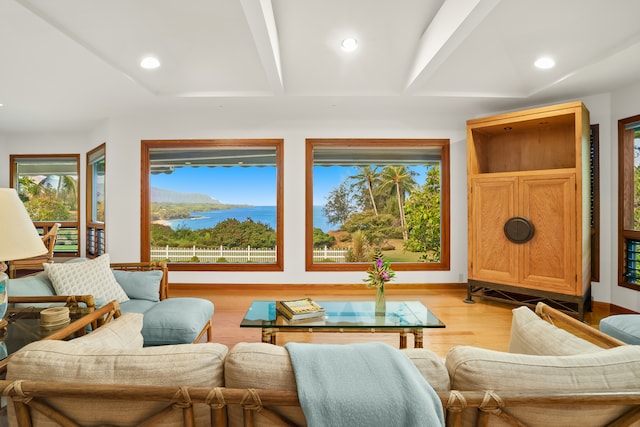 living room featuring beam ceiling, light hardwood / wood-style floors, and plenty of natural light