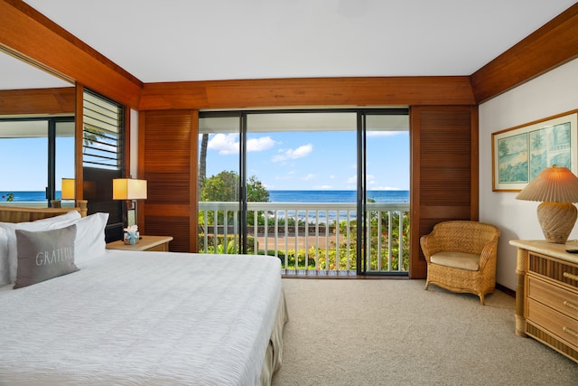 carpeted bedroom featuring access to exterior, multiple windows, a beach view, and a water view