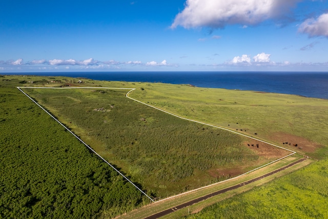 Listing photo 2 for Lincoln Ave, Hawi HI 96719