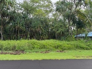 S Mano St, Pahoa HI, 96778 land for sale