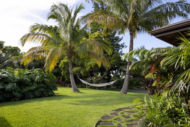 view of community with a lawn