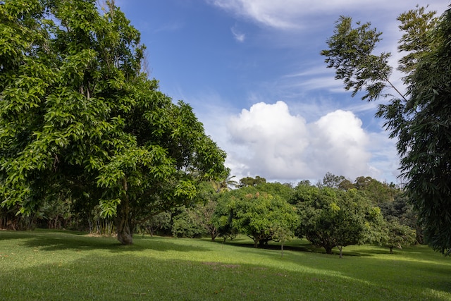 view of home's community featuring a yard