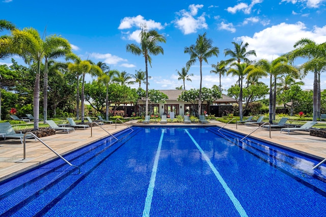 view of swimming pool with a patio area