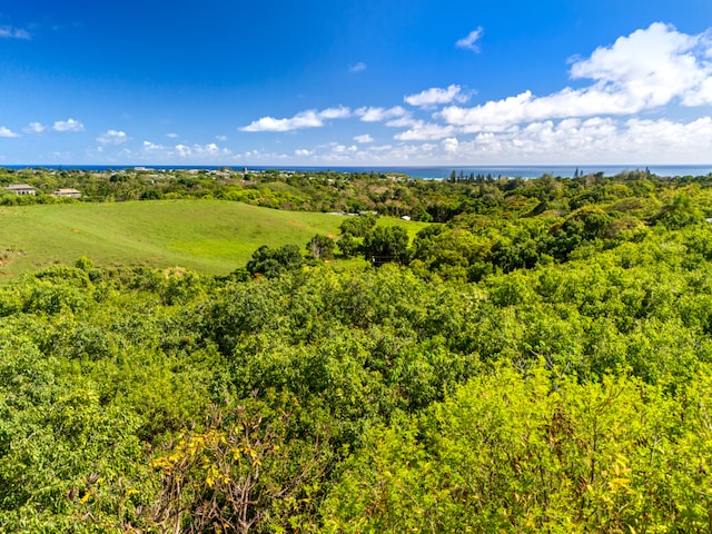 Huluia Rd, Kapaa HI, 96746 land for sale