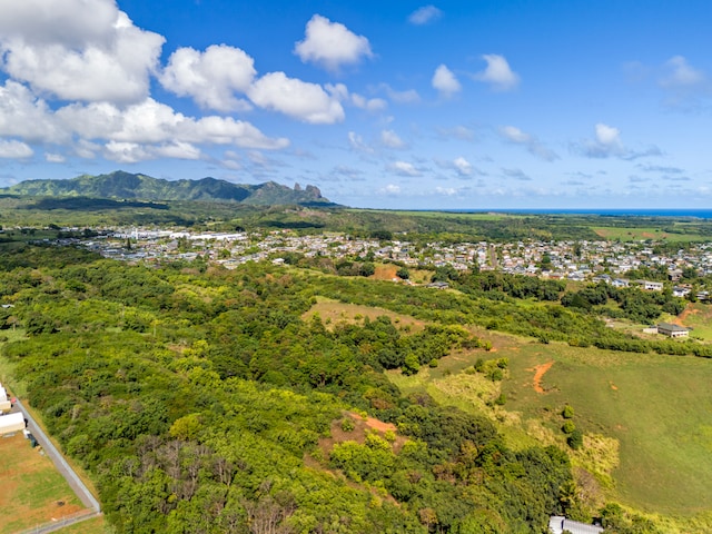 Listing photo 3 for Huluia Rd, Kapaa HI 96746