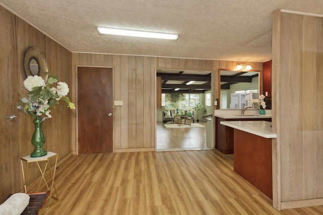 foyer with sink, light hardwood / wood-style floors, and a textured ceiling