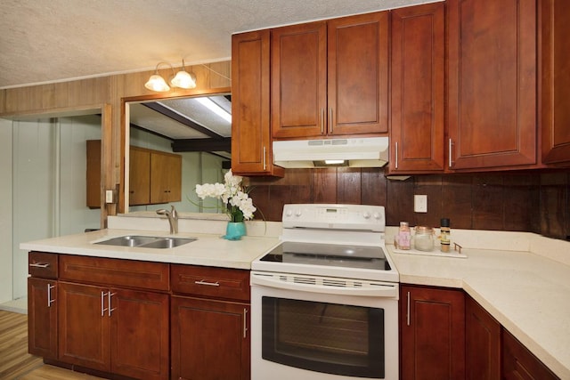 kitchen featuring sink, light wood-type flooring, a textured ceiling, and white range with electric stovetop