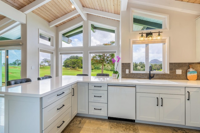 kitchen with stainless steel dishwasher, plenty of natural light, and sink