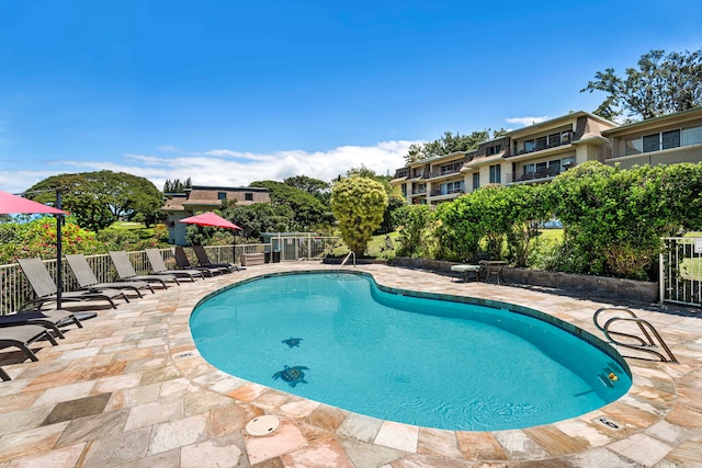 view of pool featuring a patio