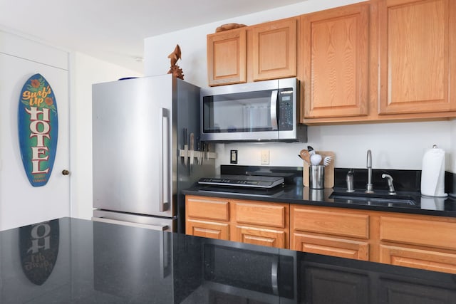 kitchen with stainless steel appliances and sink