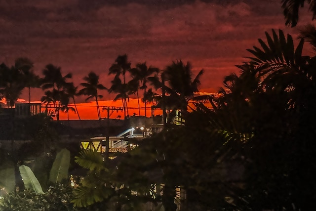 view of nature at dusk