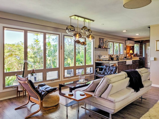 living room with wood-type flooring