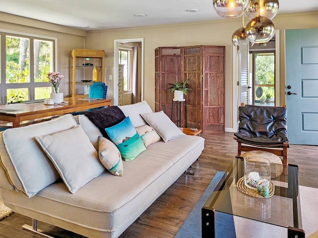 living room featuring a wealth of natural light and dark hardwood / wood-style flooring