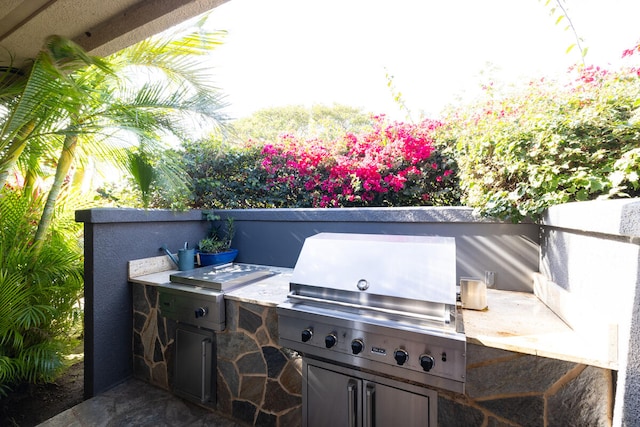 view of patio / terrace with an outdoor kitchen and a grill