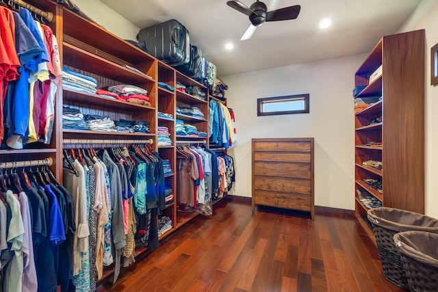 walk in closet featuring dark hardwood / wood-style floors and ceiling fan