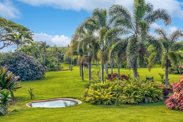 view of home's community with a lawn