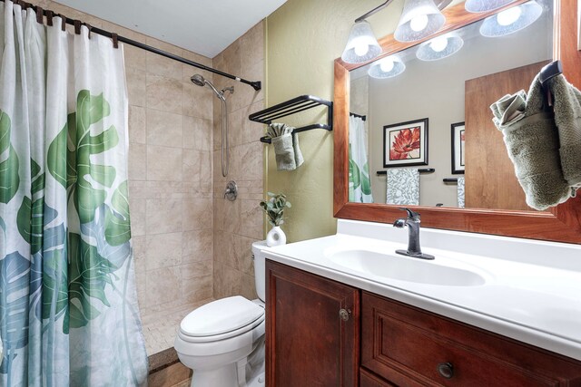 bathroom with toilet, vanity, and a shower with shower curtain