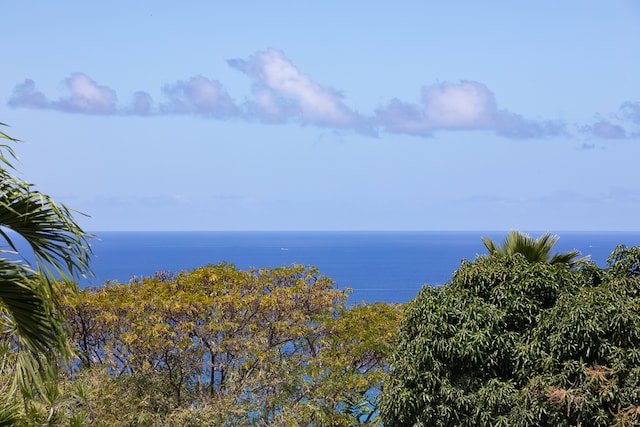 view of water feature