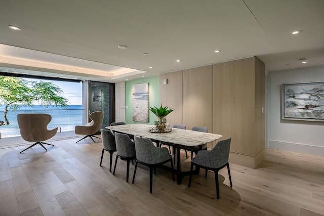 dining space featuring light hardwood / wood-style floors