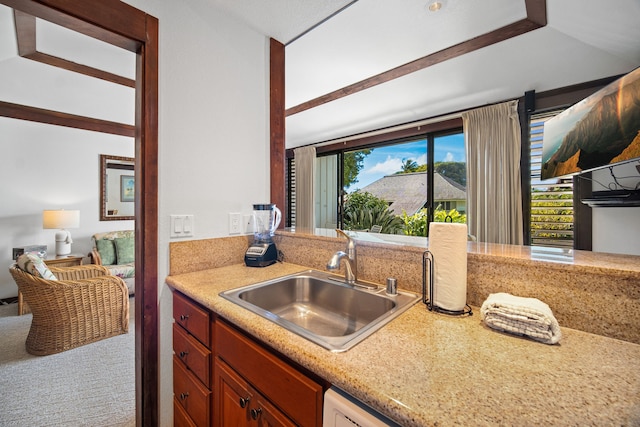 kitchen with carpet floors, a wealth of natural light, and sink