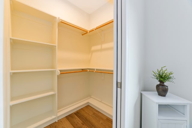 walk in closet with hardwood / wood-style flooring