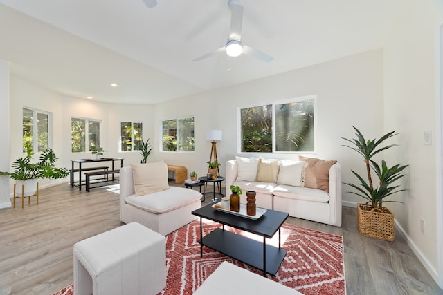 living room featuring light hardwood / wood-style flooring, ceiling fan, and a healthy amount of sunlight