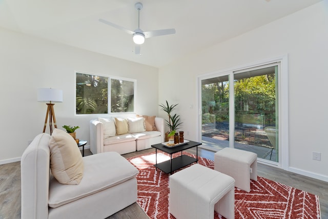 living room featuring ceiling fan and hardwood / wood-style flooring