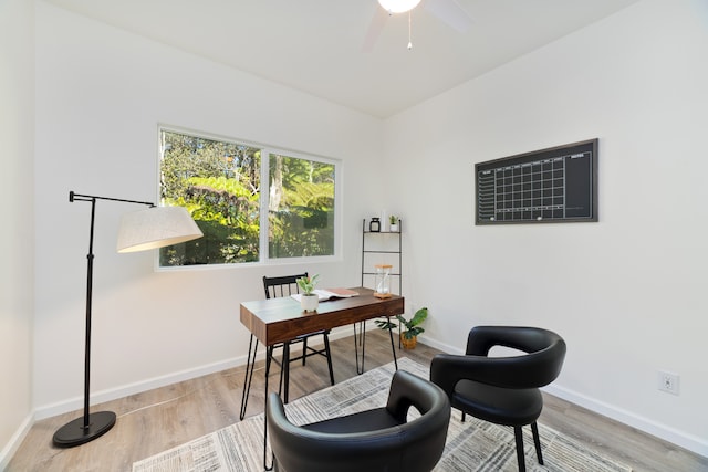 office area featuring ceiling fan and light hardwood / wood-style floors